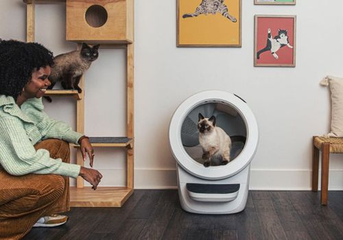 5 High-Tech Pet Gadgets Celebs Are Loving Now